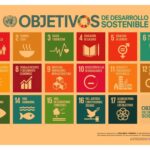 Qué es la producción sustentable y cómo aplicarla