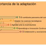 Qué impacto tiene la innovación en la rentabilidad