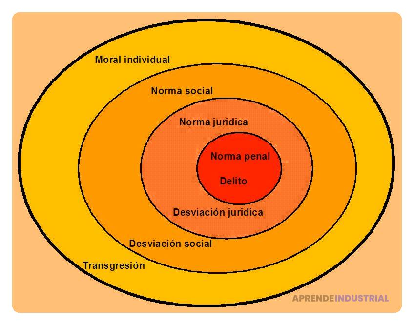 Qué normas se aplican a la formación de sociedades