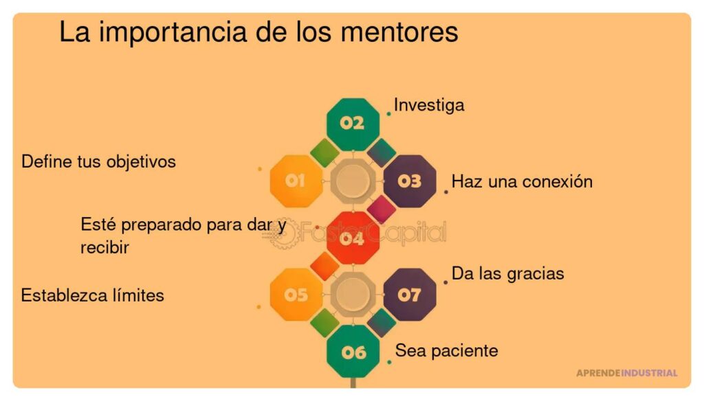 Qué rol juegan los mentores en la innovación de startups