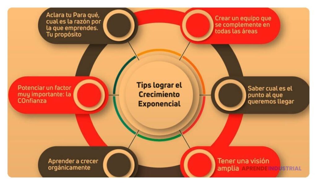 Relación entre mindset de crecimiento y escalabilidad en negocios