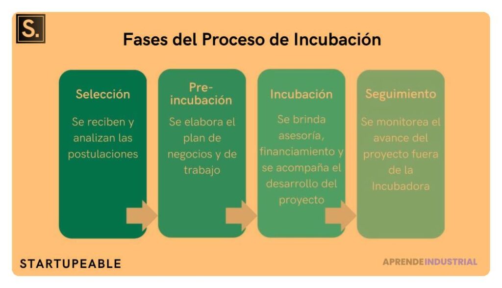 Requisitos para aplicar a una incubadora de empresas