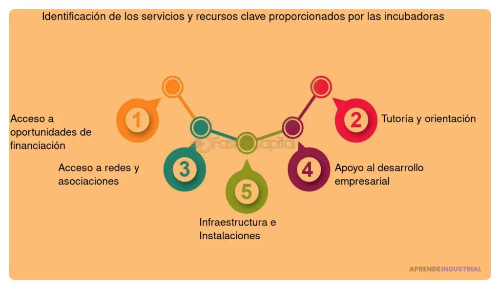 Servicios clave de incubadoras de negocios para emprendedores