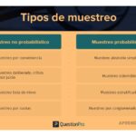 Técnicas de muestreo: tipos, métodos y aplicaciones en investigación