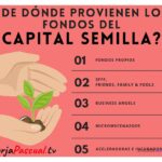 Todo sobre el capital semilla: definición y su utilidad en negocios